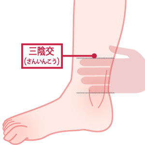 生理痛に効果的なツボ「三陰交」の位置